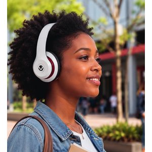 Volkano Falcon Series Headphones With Mic